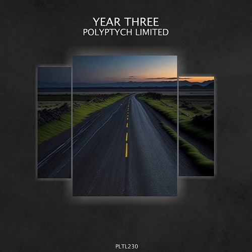 VA - Polyptych Limited Year Three [PLTL230]